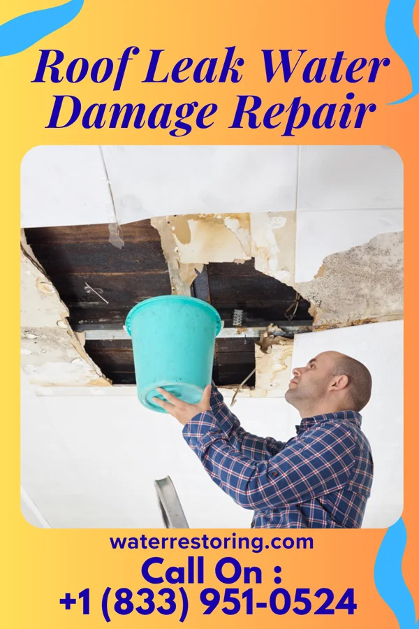 Roof Leak Water Damage Repair in Peavine, OK
