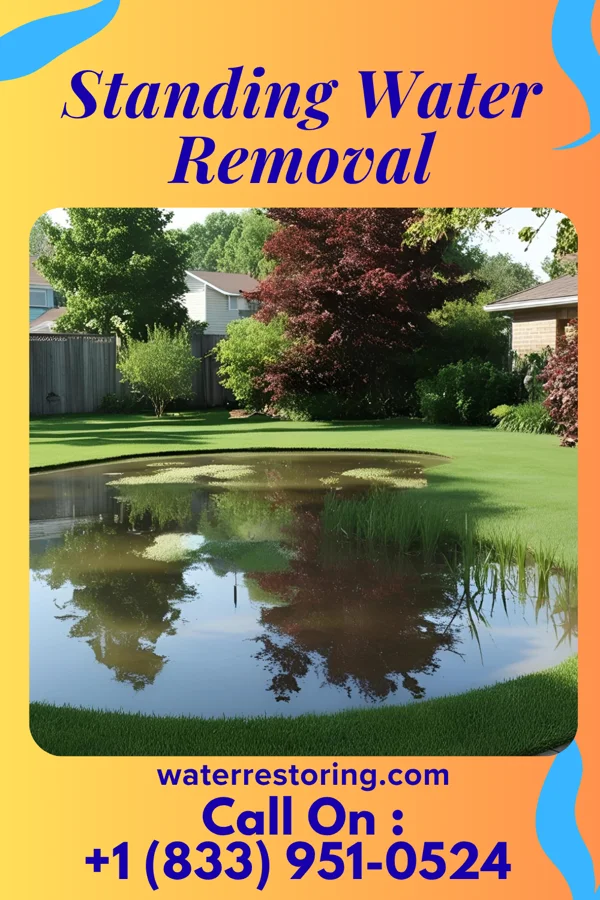 Standing Water Removal in Peavine, OK